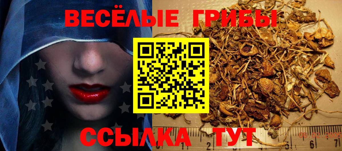 Псилоцибиновые грибы мицелий  Галлюциногенные грибы мухоморы  Вход с VPN  Домодедово 