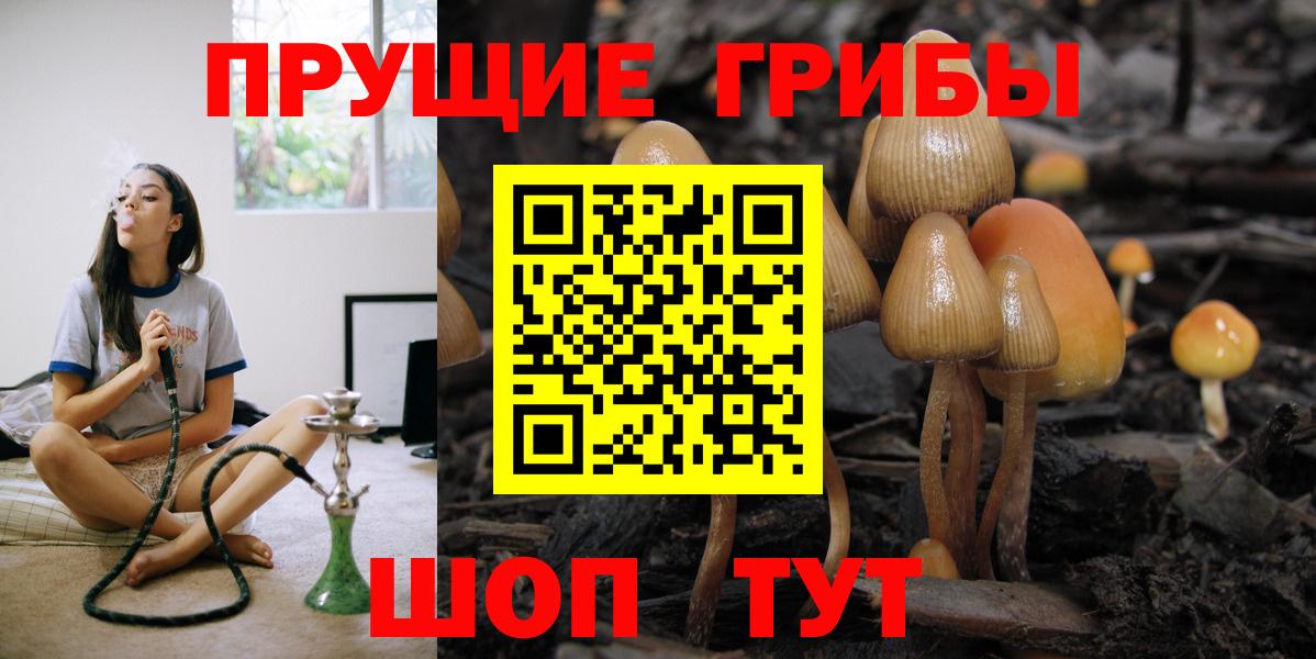 Галлюциногенные грибы прущие грибы Домодедово